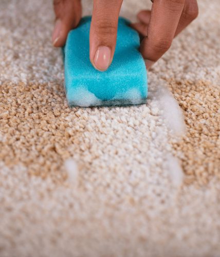 N32 Saubermen koncentrátum általános tisztító 5L